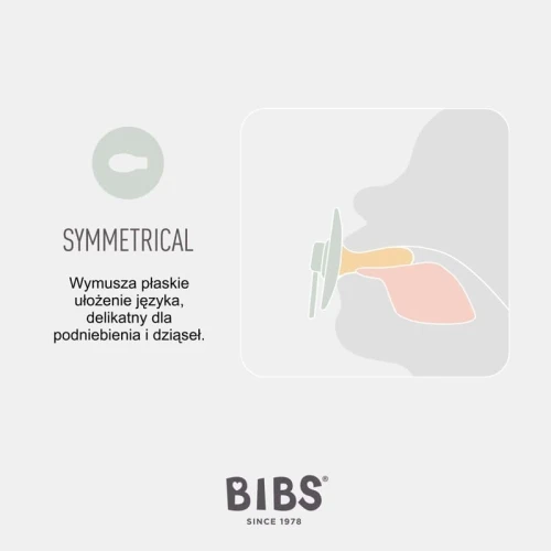 BIBS COLOUR SYMMETRICAL BLUSH Pacifier Symmetrical Hevea