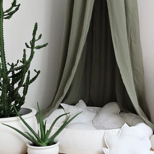 Canopy PN Olive