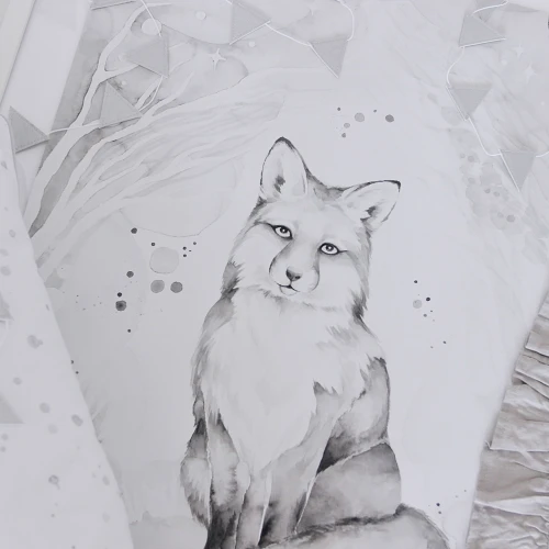 Lovely Fox Bilecik White / grey