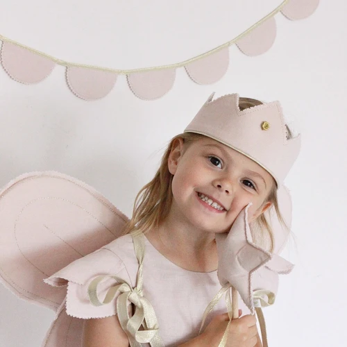 Fairy wings PN Powder pink with gold 