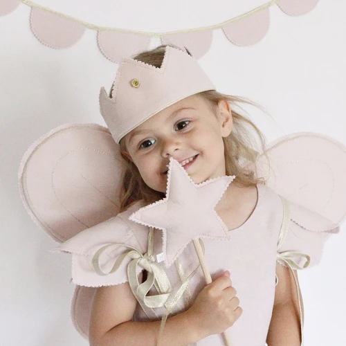Fairy wings PN Powder pink with gold 