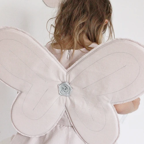 Fairy wings PN Powder pink with silver 