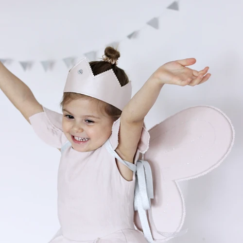 Fairy wings PN Powder pink with silver 