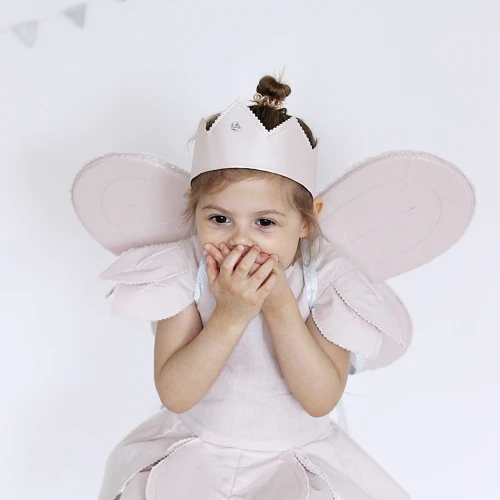 Fairy wings PN Powder pink with silver 