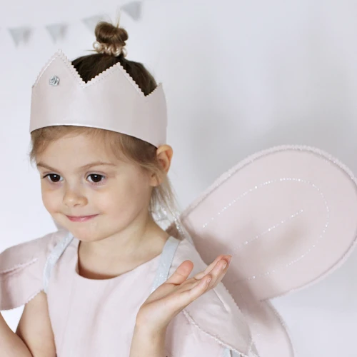 Fairy wings PN Powder pink with silver 