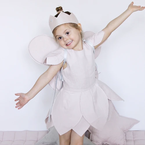 Fairy wings PN Powder pink with silver 