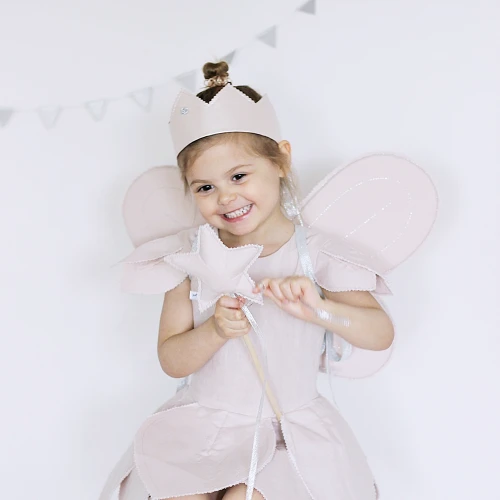 Fairy wings PN Powder pink with silver 