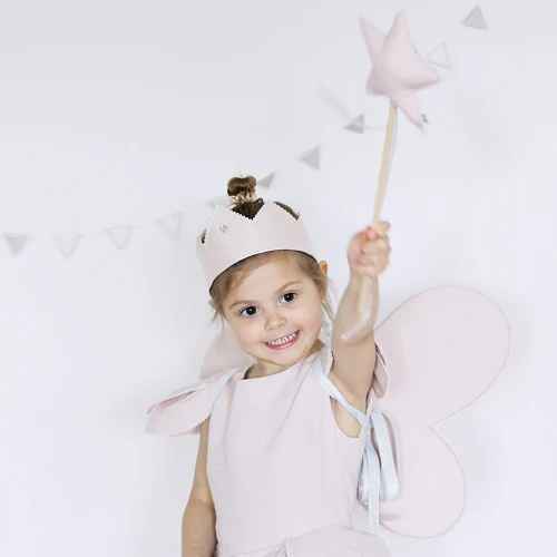 Fairy wings PN Powder pink with silver 