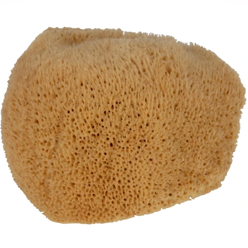 Naturalna gąbka Fina Silk M 
