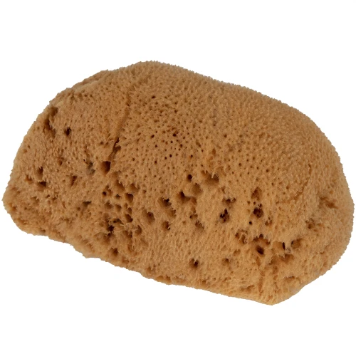 Naturalna gąbka Fina Silk M 