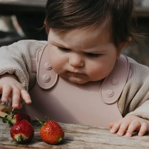 BIBS PREMIUM BIB BLUSH silicone bib