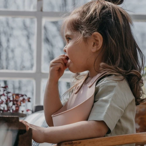 BIBS PREMIUM BIB BLUSH silicone bib