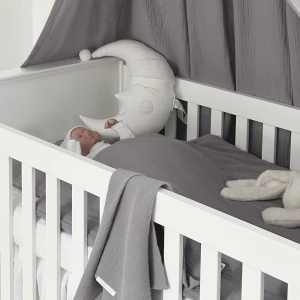 image00006_1 (1).png