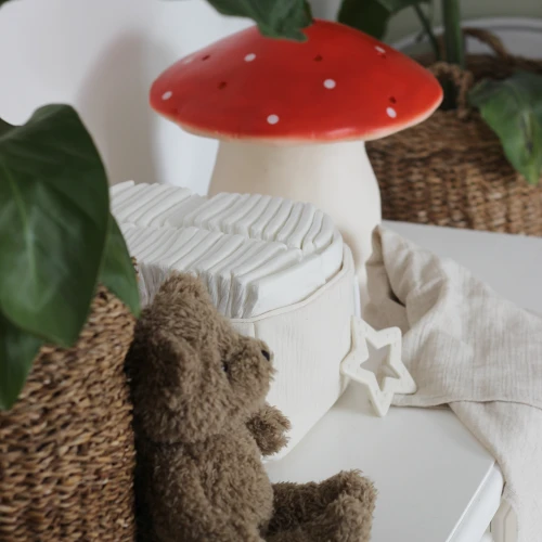 BIBS BABY BITIE STAR IVORY baby teether