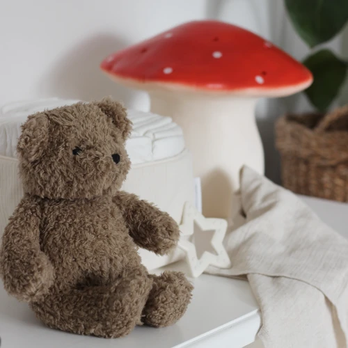 BIBS BABY BITIE STAR IVORY baby teether