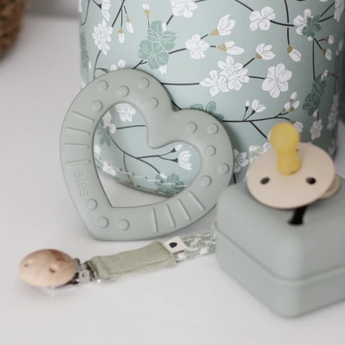 BIBS PACIFIER CASE SAGE container for 3 pacifiers